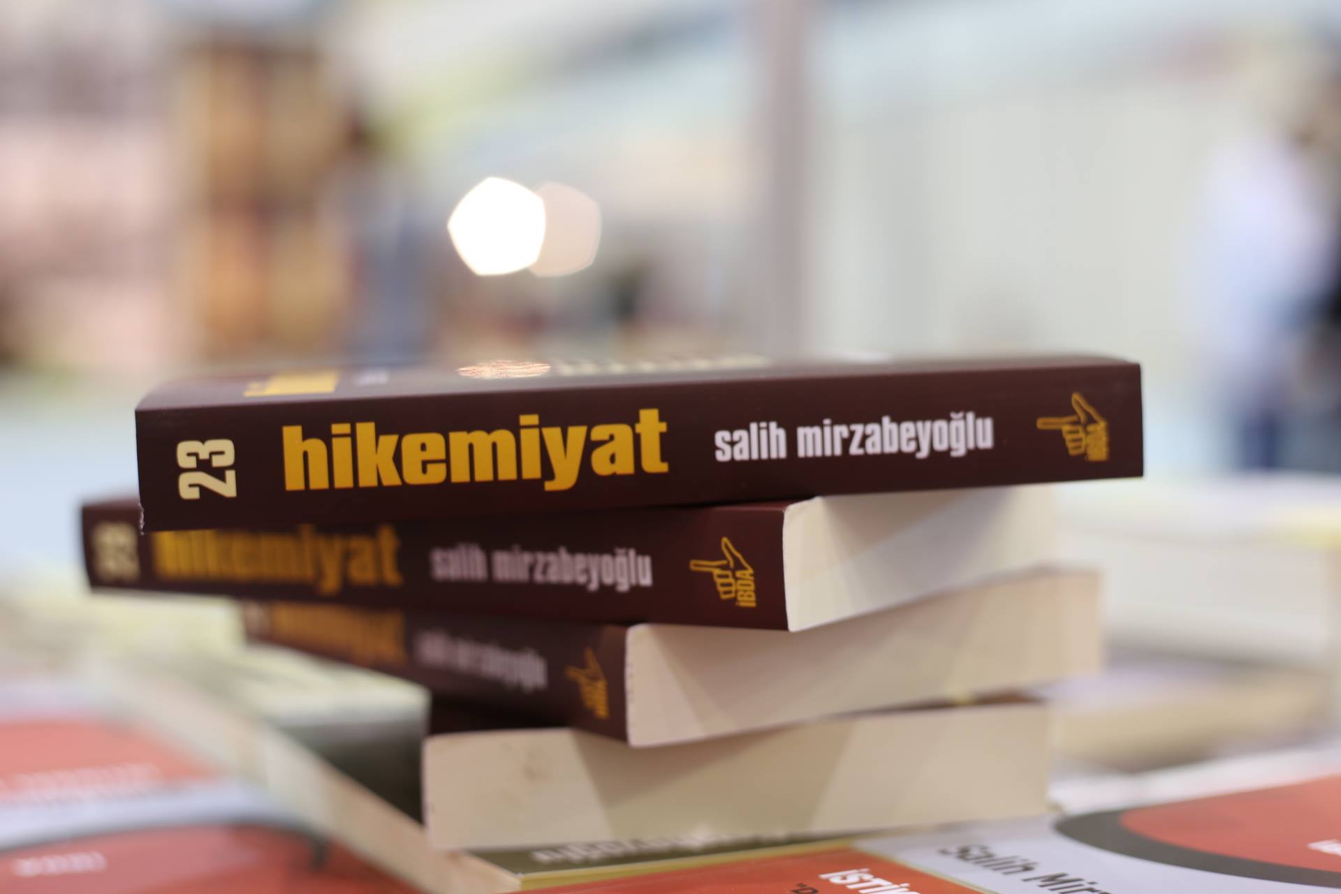 Salih Mirzabeyoğlu, Hikemiyat