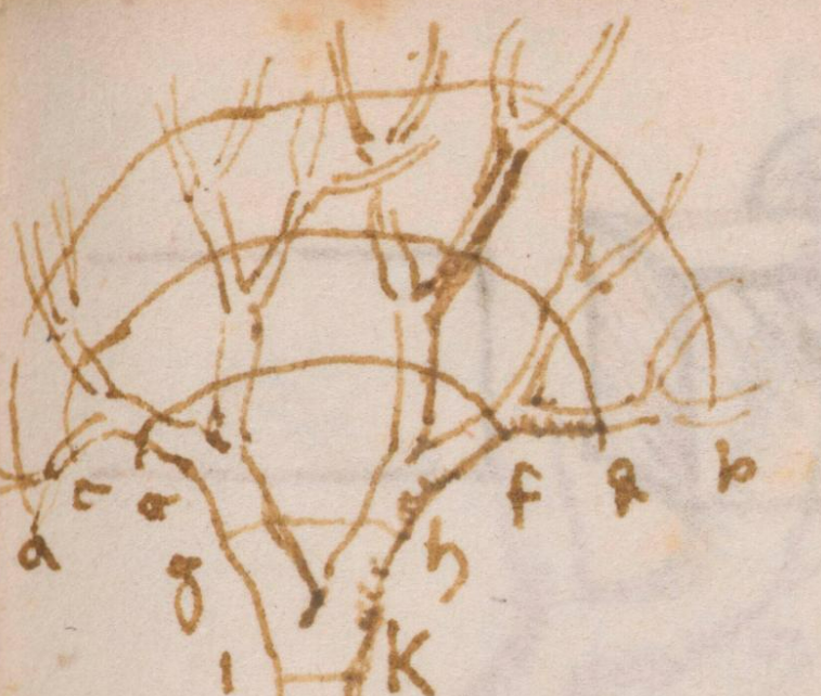 Leonardo Da Vinci'nin Ağaç Taslağı, Dallanmanın Farklı Aşamalarında Birleşik Kalınlığın Korunması Ilkesini Gösteriyor (Institut De France Manuscript M, S. 78V.)