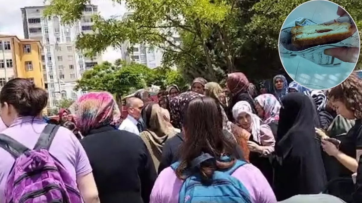 Bu Kadarina Da Pes Kuran 955 2 41