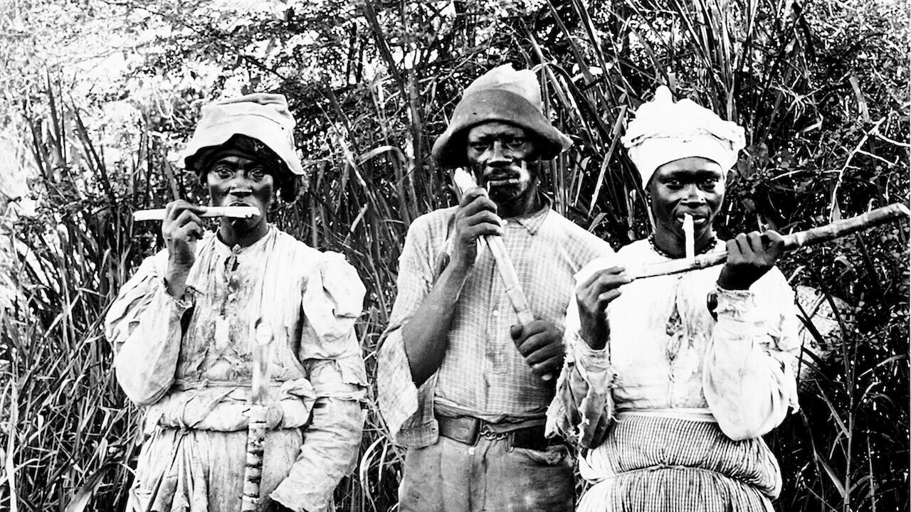 Journey Of An African Colony