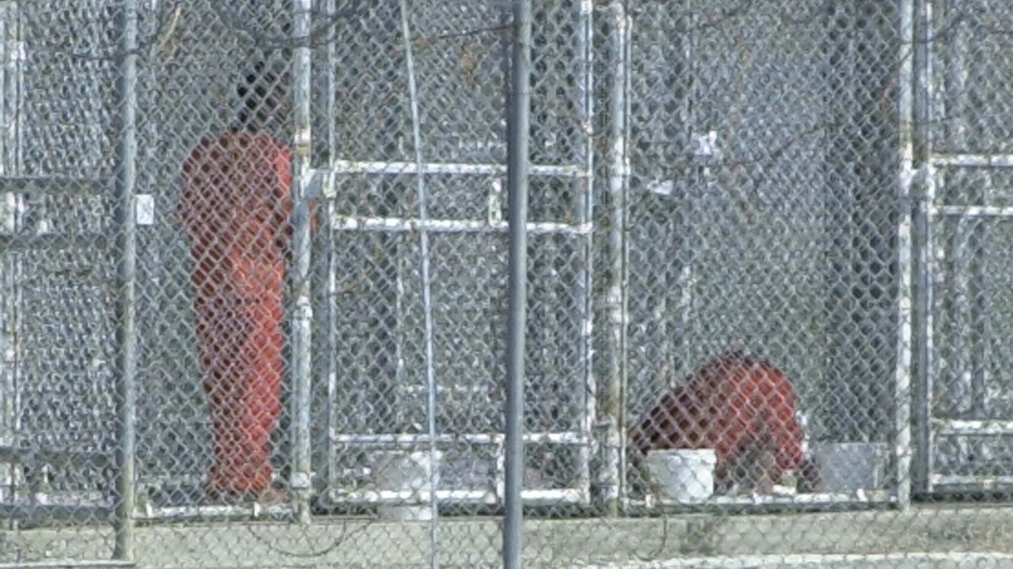 Guantanamo Bay Detainee Prays Cage 14 Feb 2002 Afp