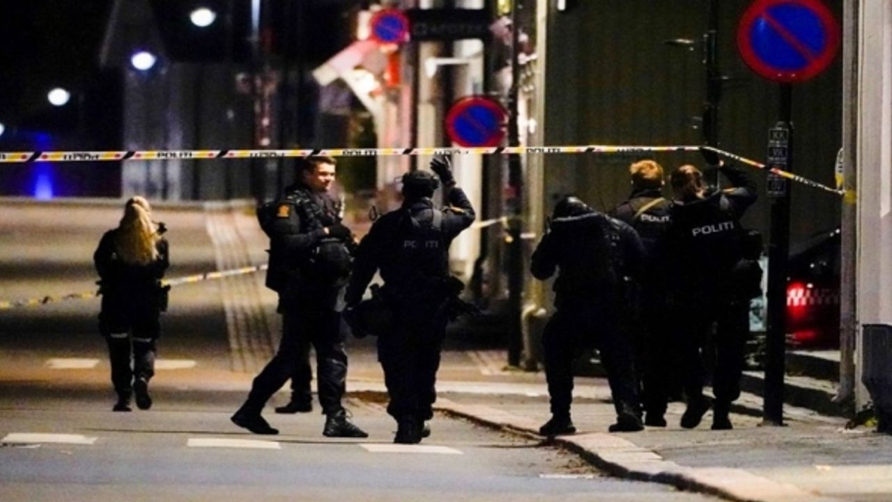 Norveç'in Kogsberg kasabasında oklu saldırı düzenlendi