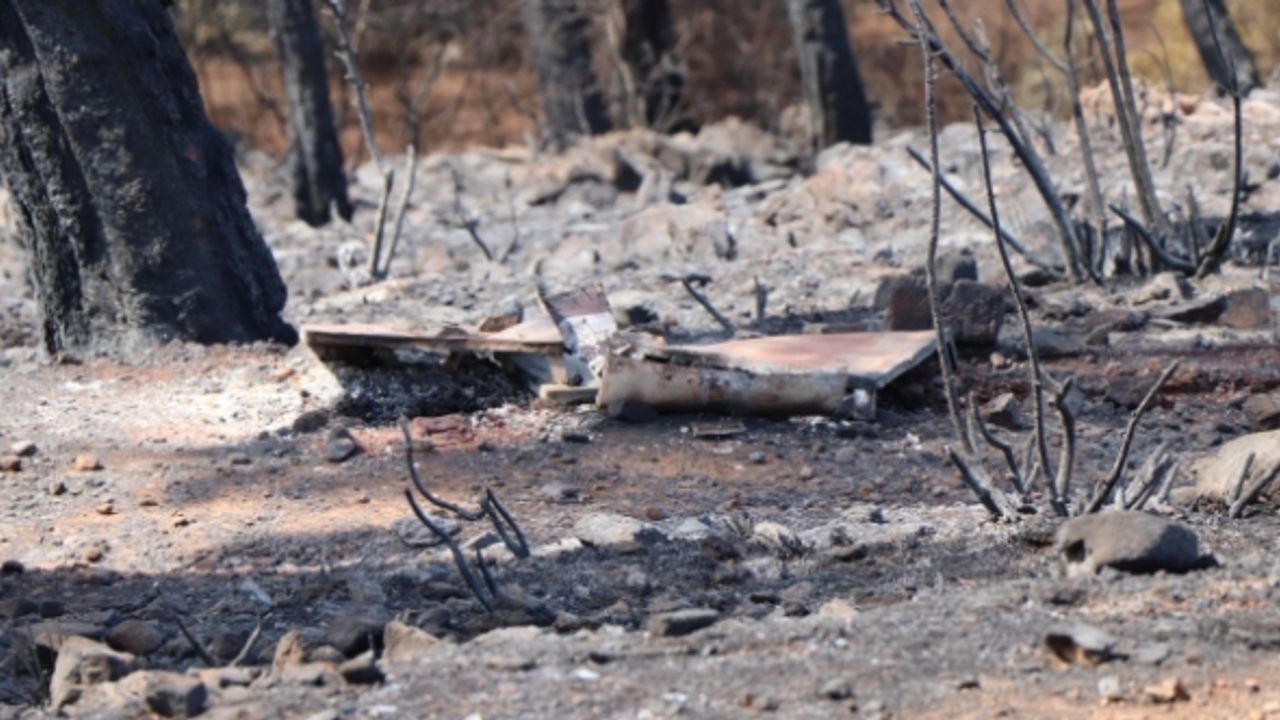 Marmaris yangınında 4 bin 500 hektar alan zarar gördü