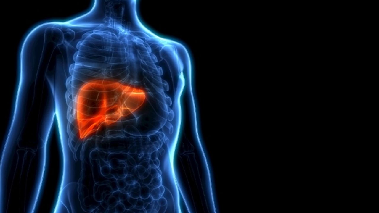 Bilim adamları, karaciğer yağlanmasının beyne zarar verdiğini ortaya koydu