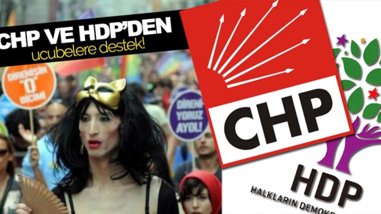 CHP ve HDP seçim vaatleri arasına sapkın LGBT'yi de ekledi