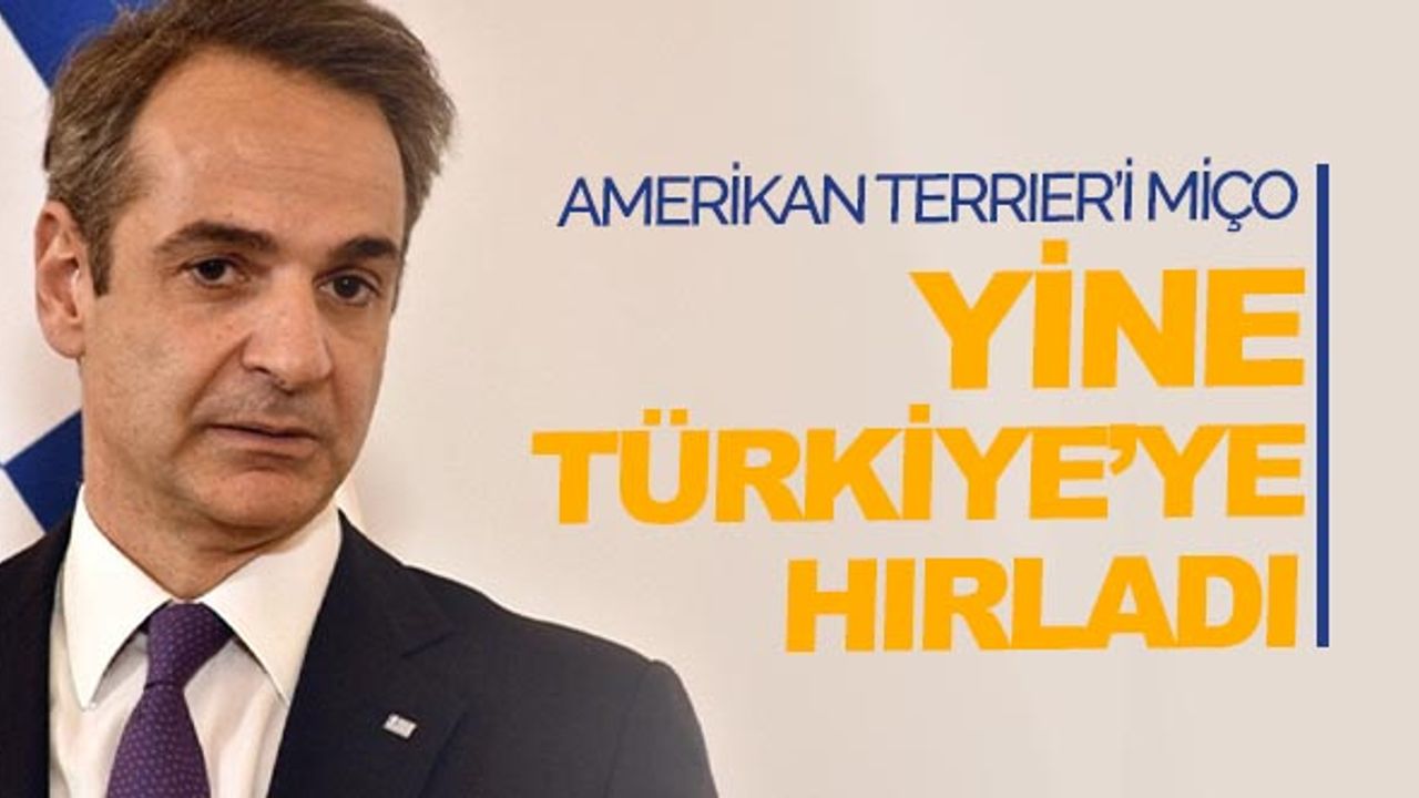 ABD'nin sevimsiz Miço'su yine Türkiye’ye hırlıyor