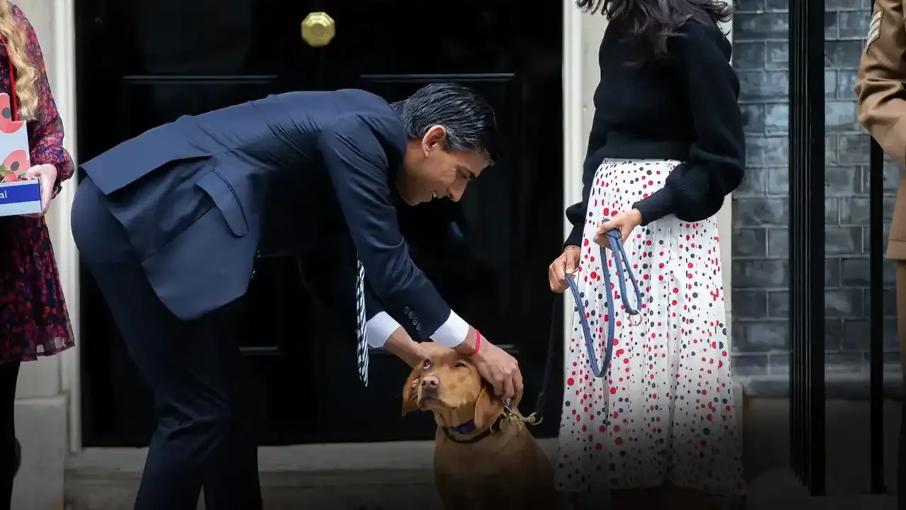 İngiliz medyası: Rishi Sunak köpeğini tasmasız gezdirdiği için özür borçlu