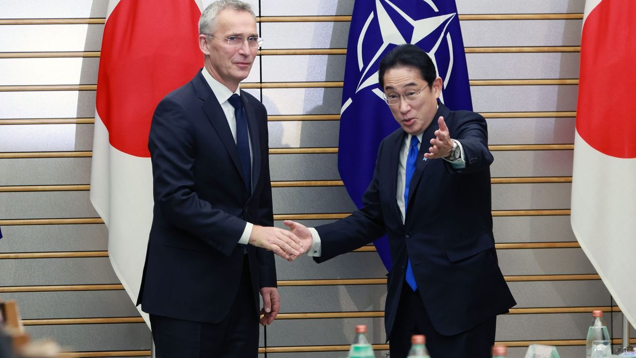 Japonya adım adım NATO'ya