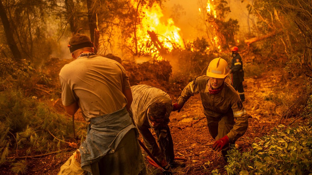 Cezayir’deki orman yangınlarında 34 kişi öldü