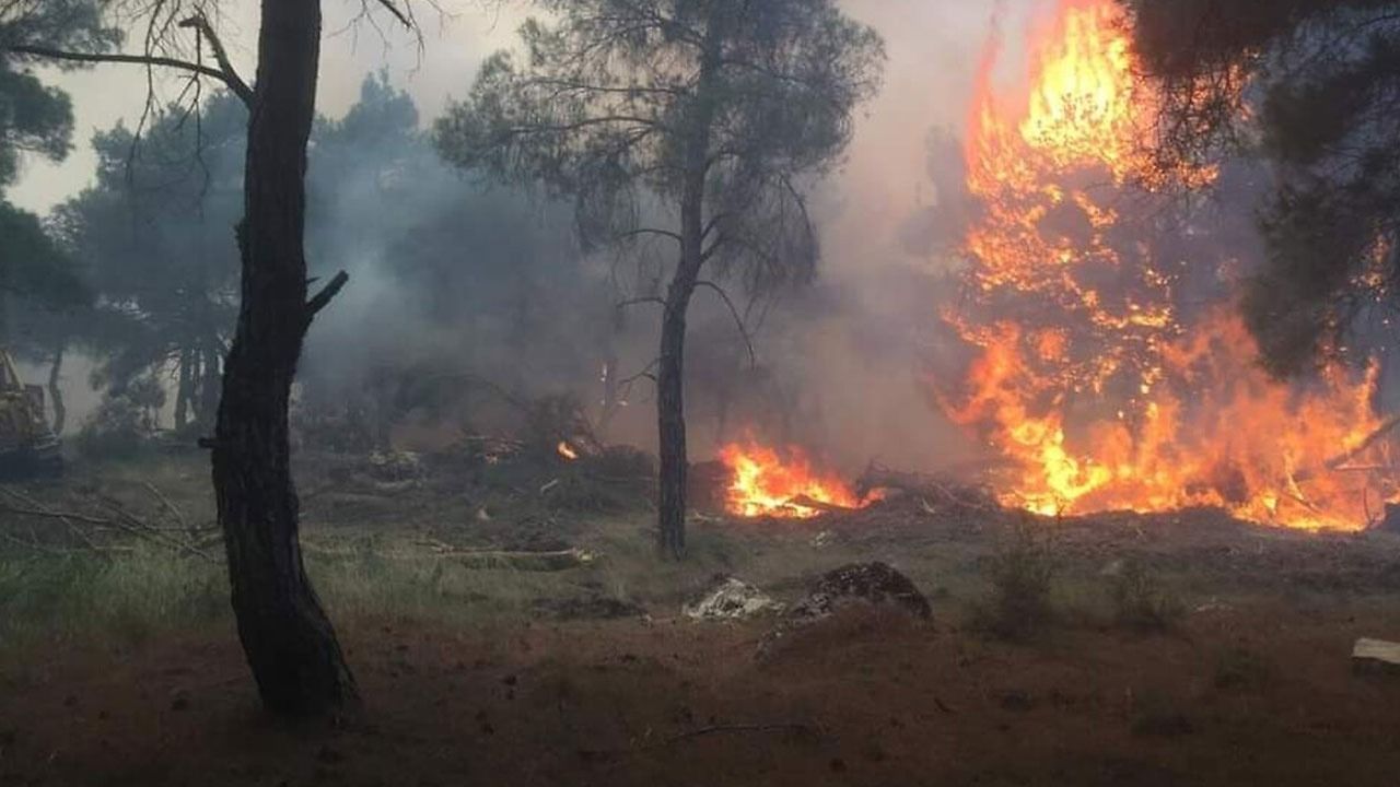 AFAD: Çanakkale'deki orman yangını bugün kontrol altına alındı