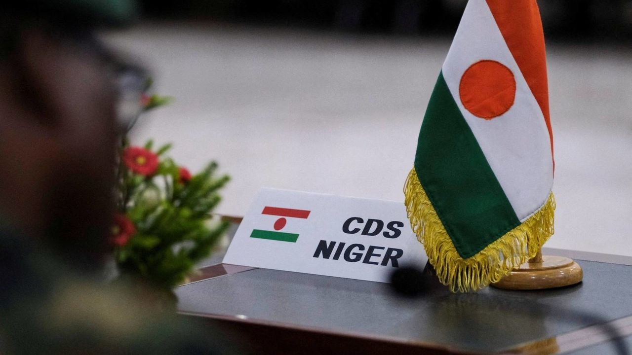 AfB, darbe nedeniyle Nijer'in tüm faaliyetlere katılımını askıya aldı