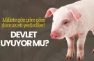 Millete göz göre göre domuz eti yedirdiler! Devlet uyuyor mu?