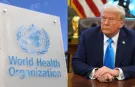 Küresel sağlık diktatöryasına ABD'den darbe geldi