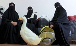 Bir Ümit Özdağ yalanı daha ifşa oldu