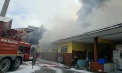 Artvin'de çay fabrikasında büyük yangın