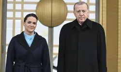 Erdoğan, Macaristan Cumhurbaşkanı Novak'ı törenle karşıladı