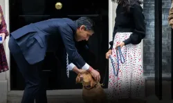 İngiliz medyası: Rishi Sunak köpeğini tasmasız gezdirdiği için özür borçlu