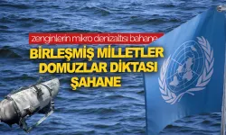 Zenginlerin mikro denizaltısı bahane, Birleşmiş Milletler domuzlar diktası şahane