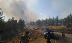 Kilis'te çıkan orman yangını söndürüldü