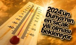 2024'ün Dünya’nın en sıcak yılı olması bekleniyor