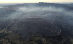 Çanakkale'deki orman yangını söndürüldü