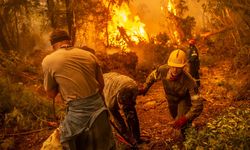 Cezayir’deki orman yangınlarında 34 kişi öldü
