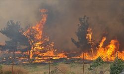 Bakan Yumaklı açıkladı: 10 günde 203 orman yangını