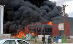 Tekirdağ’da bir kimya fabrikasında yangın çıktı