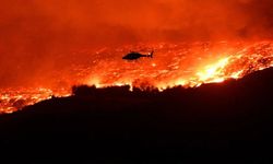 Çanakkale'deki orman yangını evlere ulaştı