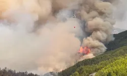 Antalya’da orman yangını! Alevler hızla ilerliyor
