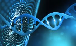 Yapay zeka DNA'daki değişimleri tanımlayabiliyor