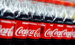 Coca-Cola'nın Türkiye'den aldığı yatırım teşviği dudak uçuklattı