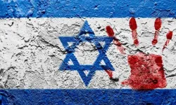 Filistin asıllı insan hakları aktivisti, dünyayı boykotla İsrail'e karşı durmaya çağırıyor