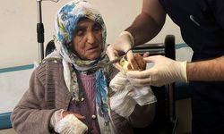 Muş'ta başıboş köpek vahşeti: 79 yaşındaki kadın yaralandı