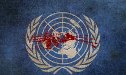 BM'nin ahlaki zafiyeti