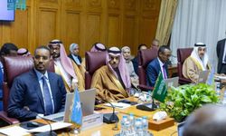 Suudi Arabistan, Türkiye-Somali anlaşmalarından rahatsız oldu
