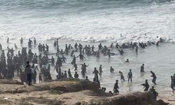 ABD'den acil yardımlar için Gazze sahiline askeri liman kurma kararı
