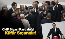 CHP siyasi parti değil küfür sıçanıdır!