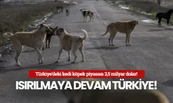 Türkiye’deki kedi köpek piyasası 3,5 milyar dolar! Isırılmaya devam Türkiye!