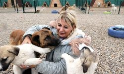 Köpek derneği başkanına tahliye: Başıboş bırakıldı!