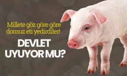 Millete göz göre göre domuz eti yedirdiler! Devlet uyuyor mu?