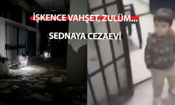 Sednaya Cezaevi'nde hücrede doğan çocuklar hayata dair hiçbir şey bilmiyor