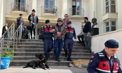 Hayvanı yücelten yasalar insanı hiçe sayıyor! Başıboş köpeği itlaf eden vatandaş tutuklandı