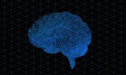 Devletler beyin verilerini koruma altına alıyor