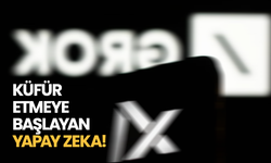 Küfür etmeye başlayan yapay zeka!