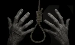 Frankenstein ve Bir Adam Yaratmak üzerine