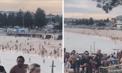 Avustralya'da Yahudilerin Hanuka kutlaması yaptığı plaja saldırı: Çok sayıda ölü ve yaralı var