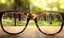 Modern dünyanın buhranı: Görmek değil bakmak