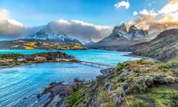 Şili'de "Yahudi oyunu": İsrailliler ormanı yakarken yakalandı