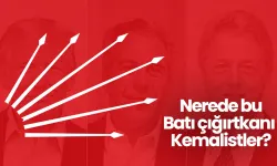 Epstein belgeleri açılıyor! Nerede bu Batı çığırtkanı Kemalistler?